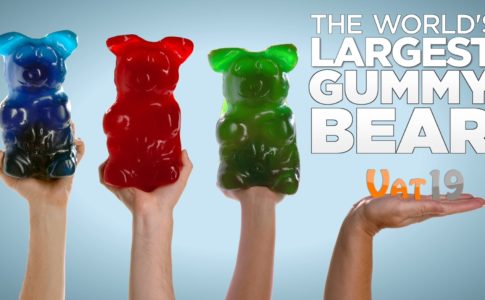 The World needs Gummy