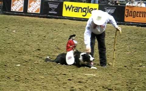 Whiplash o macaco cowboy