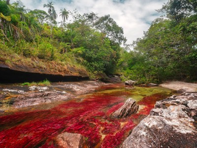 Canõ Cristales