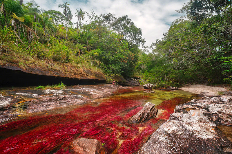 Canõ Cristales