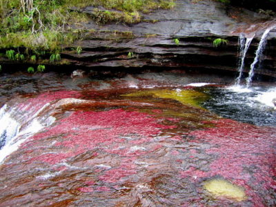 Canõ Cristales