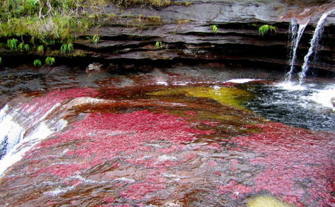Canõ Cristales