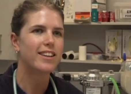 A veterinária Kate Heller