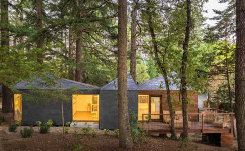 Eco House / pedrassalgadaspark.com