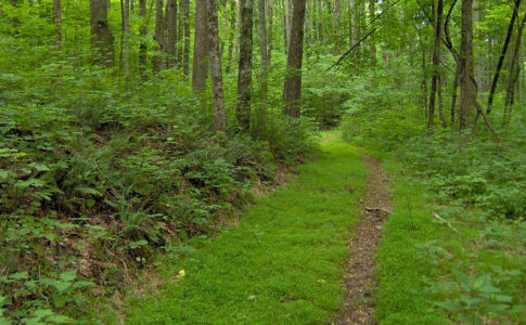 Imagem meramente ilustrativa