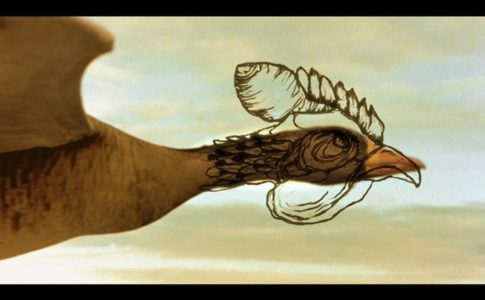 Cine Eco: A galinha que burlou o sistema / Facebook