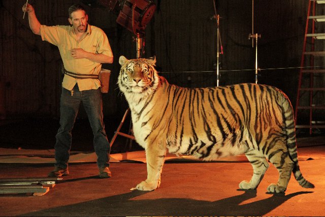 Tigre / Facebook Leonardo DiCaprio