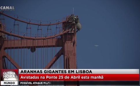 Aranhas gigantes em Lisboa