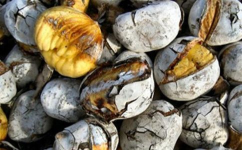 Marques Maia / Wikimedia