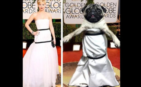 tragavenao / Instagram