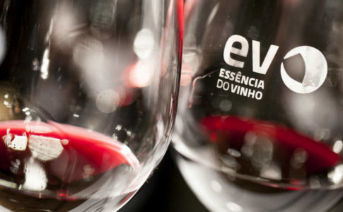 essenciadovinhoporto.com