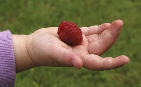 Raphael Quinet / wikimedia