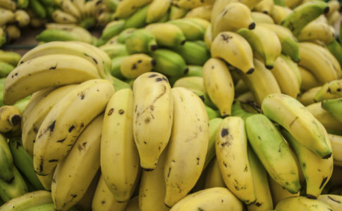 Wilfredor / wikimedia