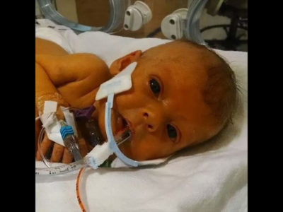 Nathen Steffel / imgur