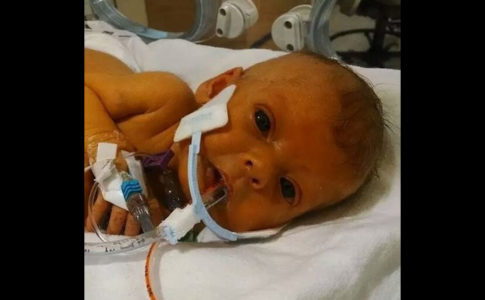 Nathen Steffel / imgur