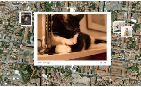 iknowwhereyourcatlives.com