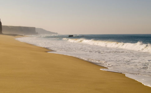 Rui Ornelas / wikimedia