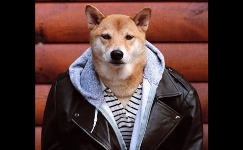 mensweardog / Instagram
