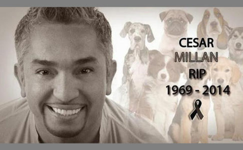 Twitter / Reprodução