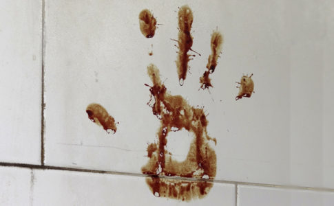 Adam Jones / wikimedia