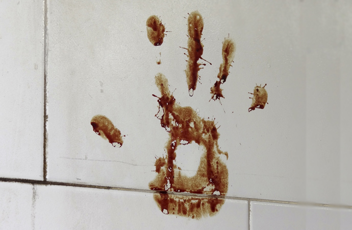 Adam Jones / wikimedia