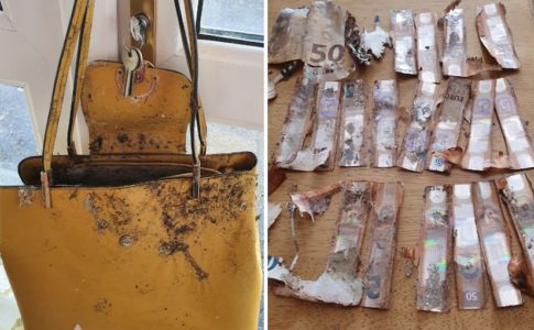 Banco recusa substituir dinheiro roubado que foi comido por lesmas